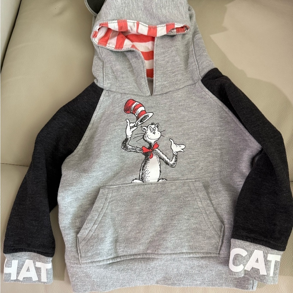 Dr. Seuss Gray and Black Cat in the Hat Kids Hoodie